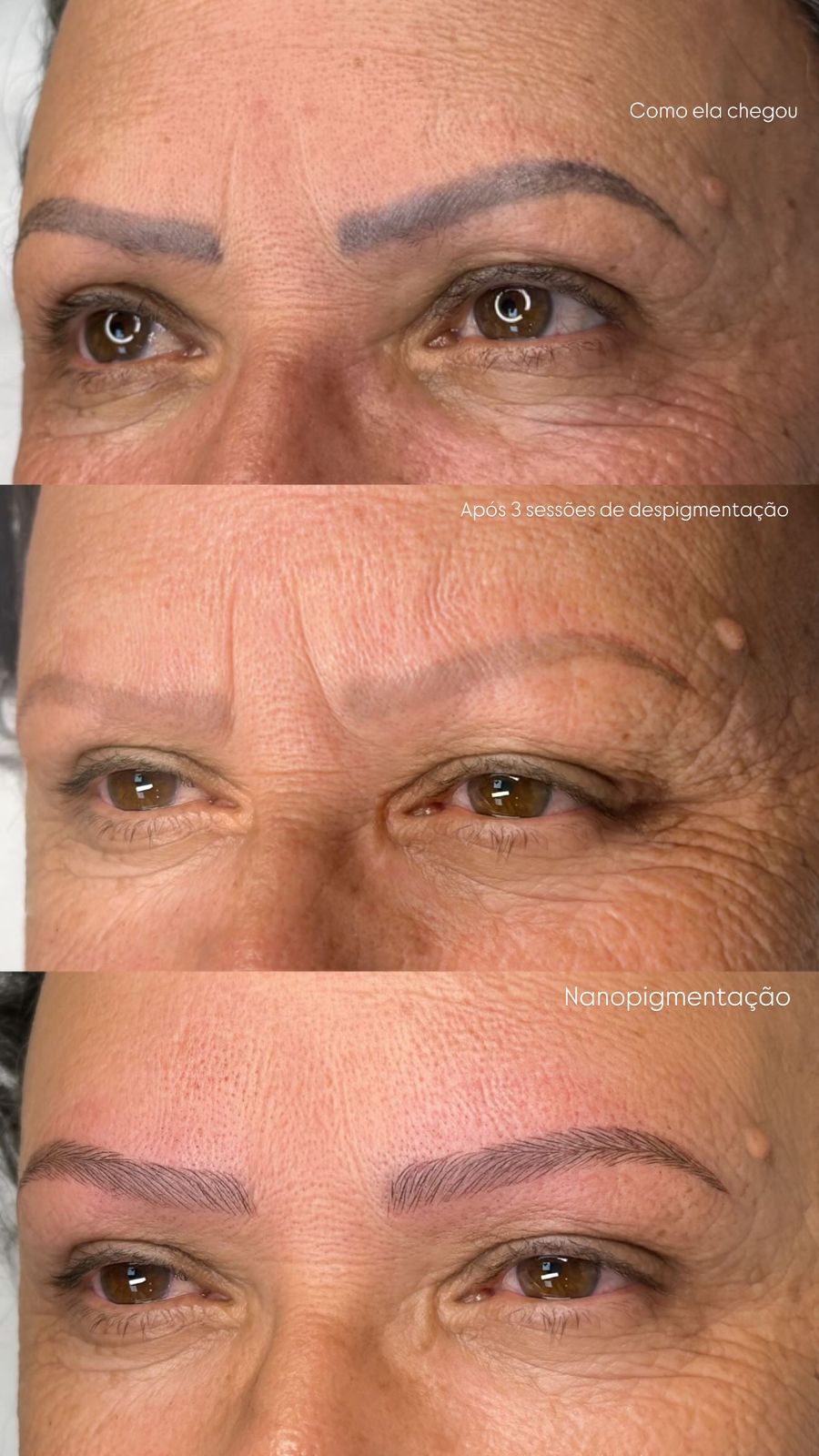 institutosteavelino (6)